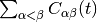 \sum_{\alpha < \beta} C_{\alpha\beta}(t)
